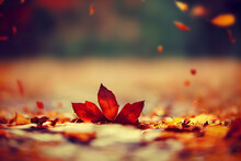 Beautiful Autumn Leaves Background In The Park