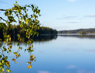 Wall Mural - Calm evening at the lake shore in Finland. Beautiful scenery with green leaves in the forest.