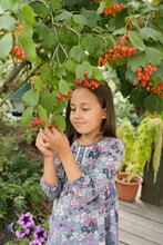 Girl Standing Under Viburnum Tree In Garden