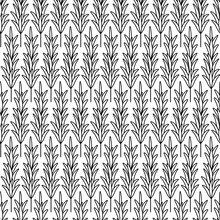 Rosemary. Sketch. A Sprig Of Fragrant Spice. Repeating Vector Pattern. Seamless Floral Ornament. Abstract Background Of Twigs With Leaves. Isolated Colorless Background. Idea For Web Design