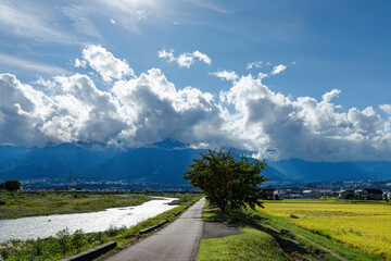 Wall Mural - 伊那、青空を背景に木曽山脈の山脈と三峰川沿いの桜並木