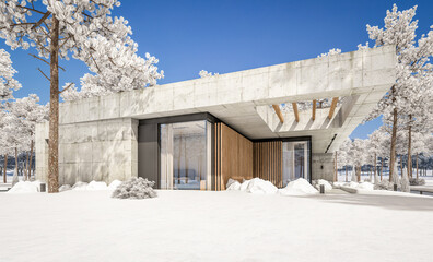 3d rendering of new concrete house in modern style with pool and parking for sale or rent and beautiful landscaping on background. The house has only one floor. Cool winter day with shiny white snow.