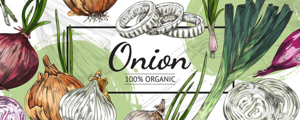 Wall Mural - Onion veggie banner or label for packaging template sketch vector illustration.