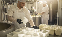 Man Is A Cheese Maker In The Process Of Producing Different Varieties Of Cheese In The Industry. Milk Cheese Making