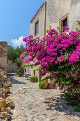  Traditional architecture with  a narrow  stone street and a colorfull bougainvillea in  the medieval  castle of Monemvasia, Lakonia, Peloponnese, Greece.