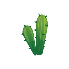 Wall Mural - Green cactus exotic plants flat cartoon vector illustration isolated on white.