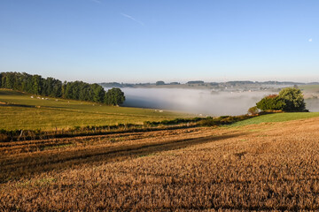 Canvas Print - Belgique Wallonie Ardenne paysage brouillard automne Vaux sur Sure village losange