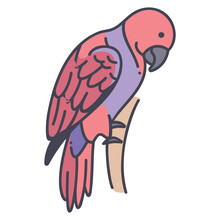 Eclectus Parrots Icon