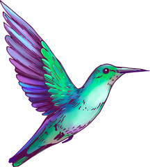 Hummingbird flying transparent background illustration