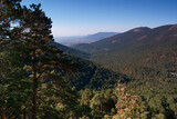 Fototapeta Do pokoju - góry widok krajobraz drzewa natura lato