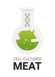 cultured meat in test tube made from pig animal cells artificial lab grown meat production concept vertical