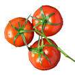 Fresh red ripe juicy tomatoes on a branch on isolated background. Flat lay. View directly above 