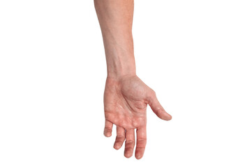 Wall Mural - Realistic human hand showing gesture. White skin man arm isolated on transparent background. Relaxed palm