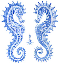 Set Of Hand Painted Indigo Blue Fairy Tale Sea Animals. Watercolor Fantasy Fish And Sea Horses Couple Isolated On A Transparent Background 
