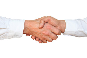 Wall Mural - gesture series: greeting, handshake.