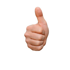 Wall Mural - gesture series: thumbs up, ok