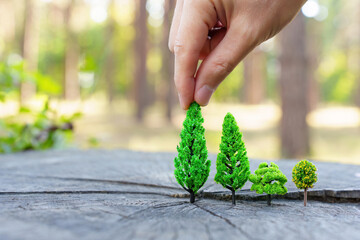 Wall Mural - Hand places toy trees on a tree stump in the woods