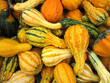 Gourds for fall and Thanksgiving decoration