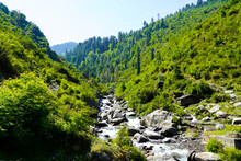 Beautiful Lush Green Dense Forest And River Flowing Through The Forest. Peaceful And Spectacular Nature And A Small Hiking Trail Can Be Seen Near The River In Uttarakhand, India.