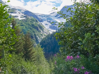 Canvas Print - View through valley forest to distant snow clad mountains