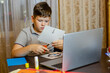 © alovaelena - child is engaged on laptops distance learning