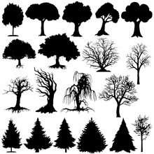 Vector Silouettes-Various Trees