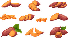 Sweet Potato Set Vector Illustration. Cartoon Isolated Orange Organic Vegetable With Purple Peel, Whole Potato Tuber And Green Leaf, Fresh Peeled And Chopped Cubes And Sticks, Raw Batat Slices