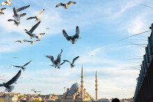 Travel To Istanbul Background. Seagulls And Yeni Cami Aka New Mosque In Eminonu