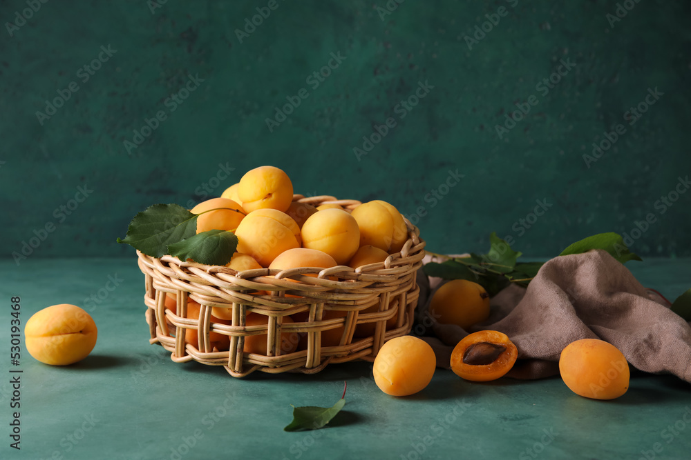 Wicker basket of ripe apricots on color background