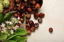 Chestnuts, Leaves And Flower On Light Background