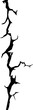 © Buch&Bee - Earthquake cracking hole, crack, cleft or crackle