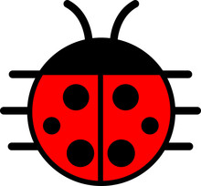 Black And Red Ladybug Isolated Ladybird Beetle