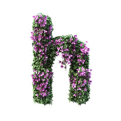 Wall Mural - 3d rendering of Bougainvillea alphabet set 2	
