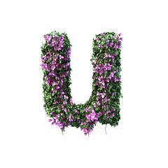 Wall Mural - 3d rendering of Bougainvillea alphabet set 2	
