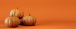 © RocknRoller Studios - Seasonal background Banner with copy-space. Trio of Pumpkins on Orange color. Fall Concept.
