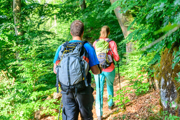 Wall Mural - Abschalten bei einer Wanderung in den Wäldern des Naturparks Altmühltal