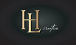 HL letters luxury jewellery fashion brand monogram, creative premium stylish golden logo icon