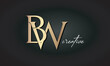 BW letters luxury jewellery fashion brand monogram, creative premium stylish golden logo icon