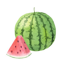 Watercolor Illustration Of Watermelon With Transparent Background