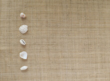 Sea Shells Lined On Linen Back Ground, Bullet Points Icons