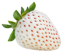 White Strawberry Isolated On White Background, White Strawberry Or Pine Berry Or Hula Strawberry On White Background PNG File.