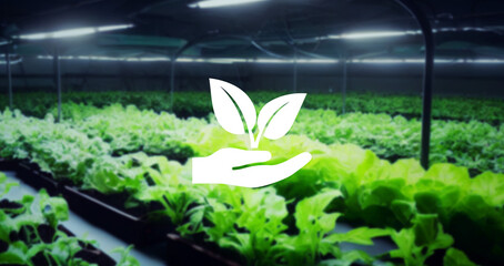 plant cultivation icon and vegetable plant background. plant factory.