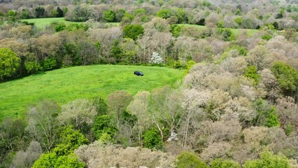 Isolated View Of A Car Parked In Farm Land For Property Surveillance In Siloam Springs, Arkansas. Aerial Drone Shot