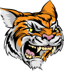 Poster - Tiger mascot character