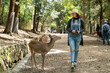 © PR Image Factory - full length of Asian Japanese girl tourist looking and smiling at a young sika deer while walking in the woods near kasuga Taisha in nara japan