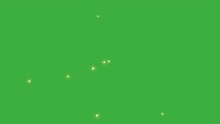 Green Screen Background Of A Firefly With A Slight Blur, You Just Need To Remove The Green Background In The Video Editing Software You Are Using