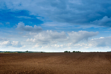 Wall Mural - areas of arable fields, landscape, preparation for sowing for the season Agriculture, agrarian plowed areas, and beautiful blue sky with clouds