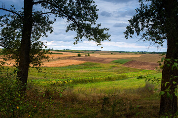 Wall Mural - areas of arable, green and harvested fields, landscapes of lines and hills. Agriculture, agrarian areas, the beginning and end of field work