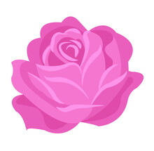 Elegant Pink Flower Background Image