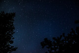 Fototapeta Fototapeta z niebem - Landscape of night sky with stars 